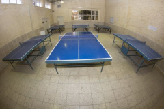 Table Tennis Salon